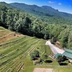 Grandfather Vineyard & Winery