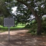 Charleston Tea Garden