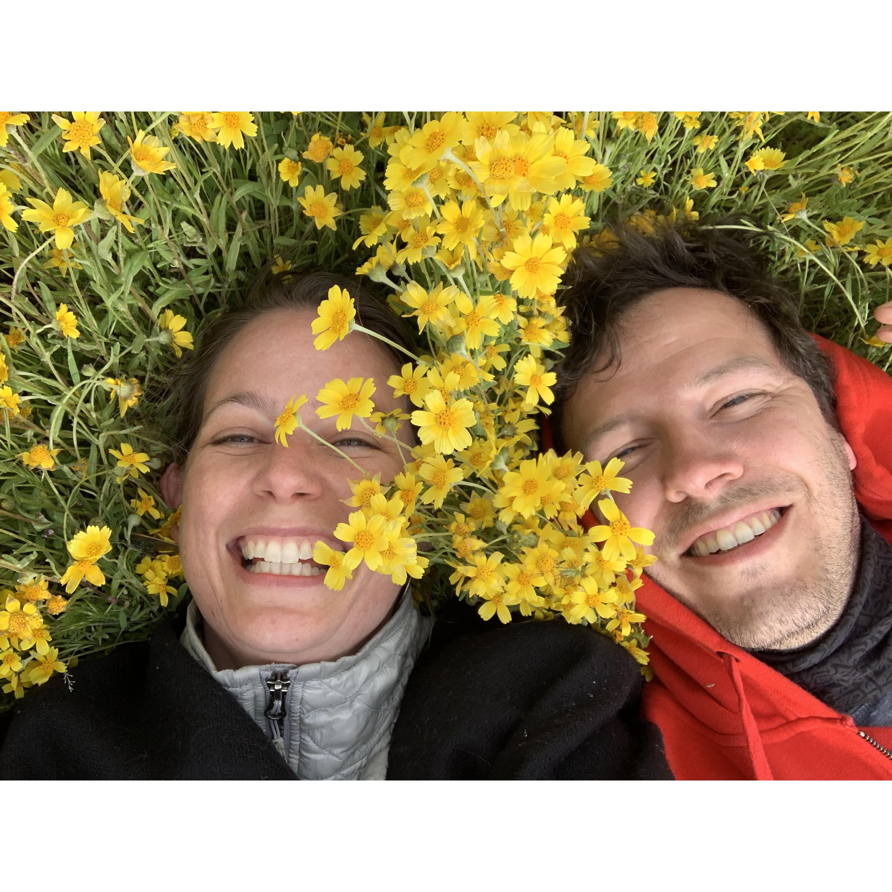 Wait, maybe it’s this one. Lol. It’s bright when the rains finally come in California.