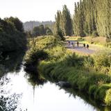 Sammamish River Trail