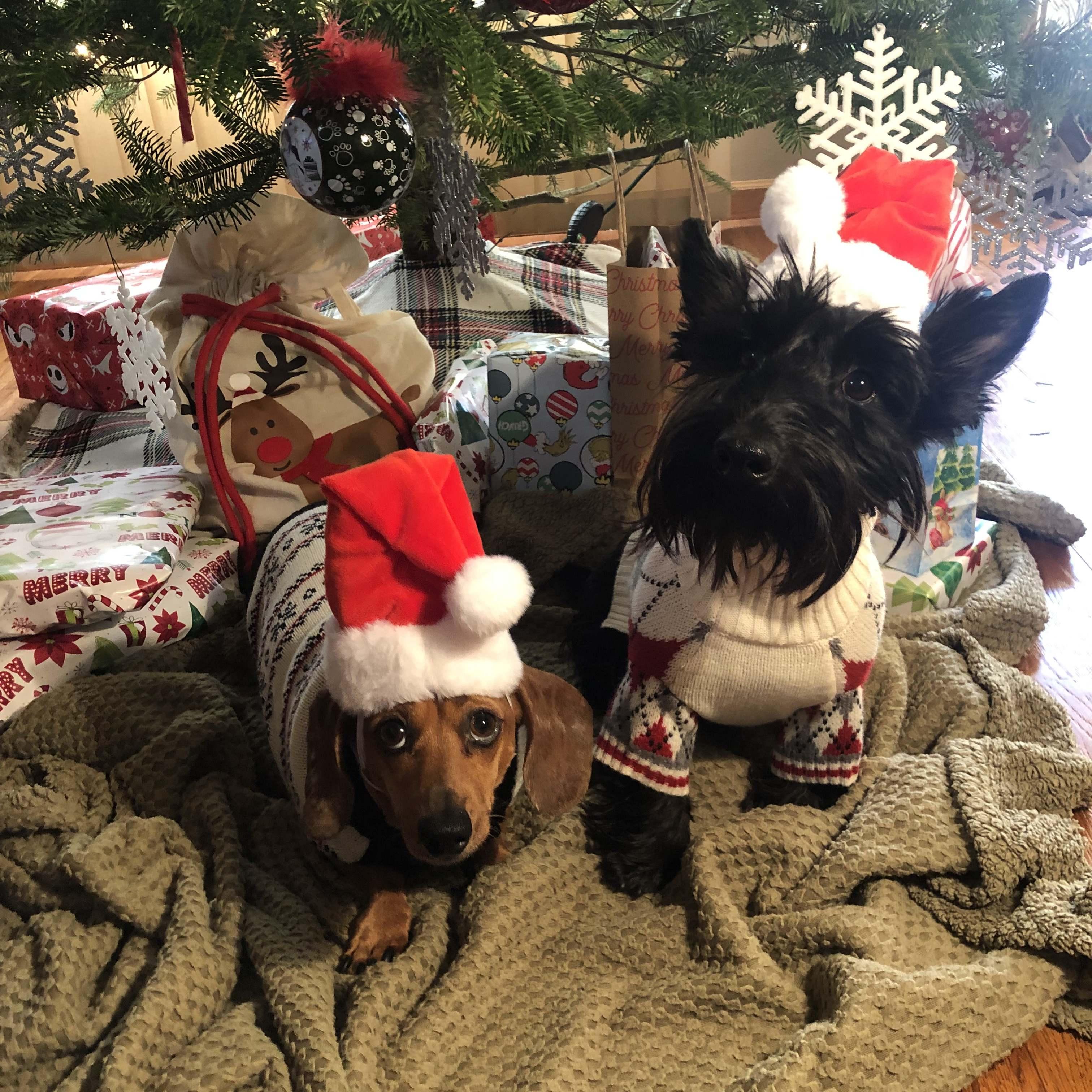 Diggy & Luna! 