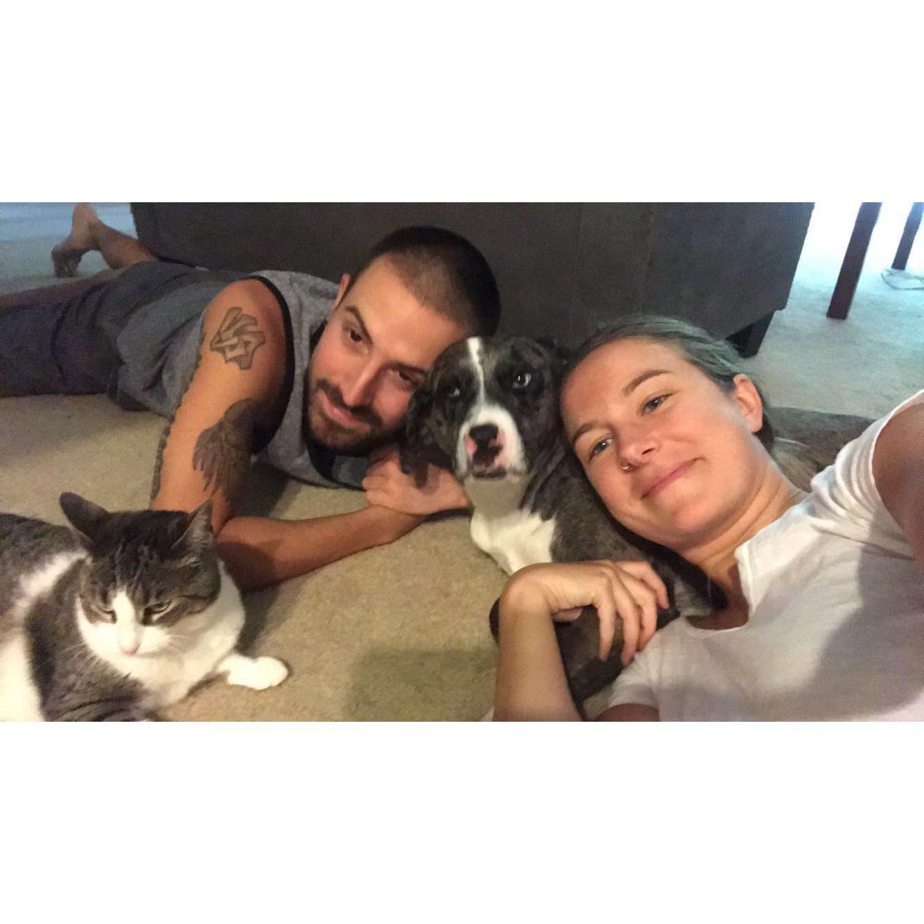 Our little fur family