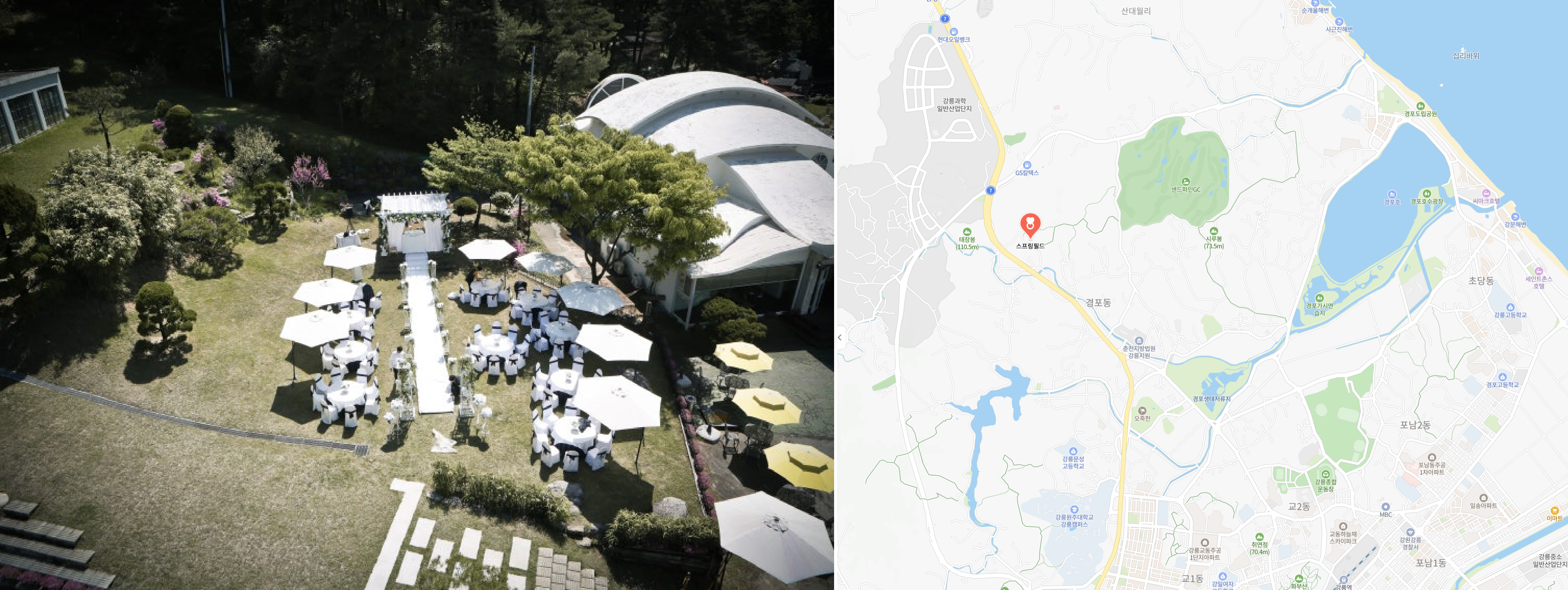 The Wedding Website of Morgan Curry and Suhwan Jung