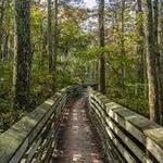 First Landing State Park