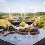 Hill Top Winery