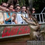 Cajun Encounters Tour Company
