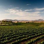 Temecula Wine Region