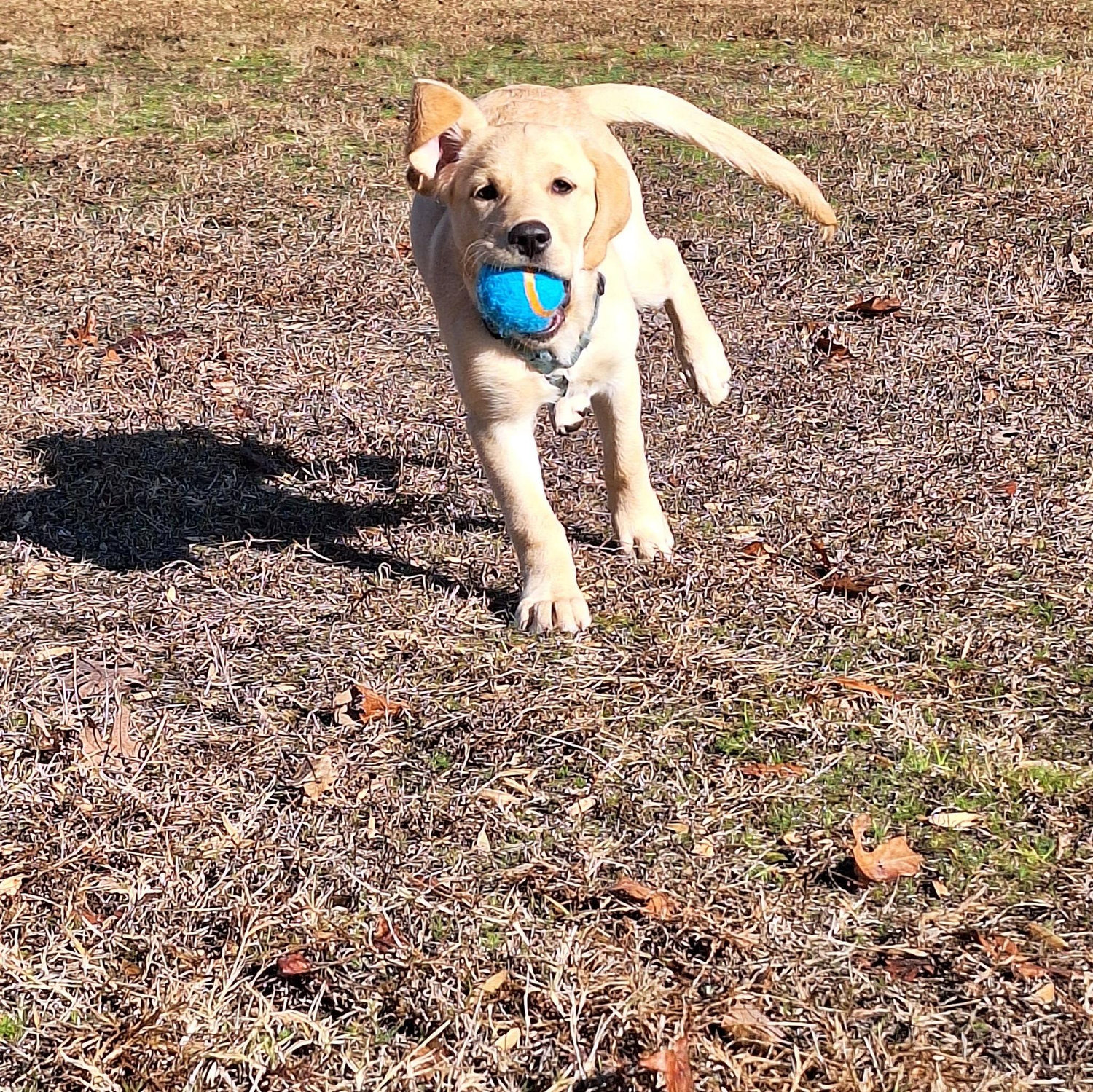 Action shot!
