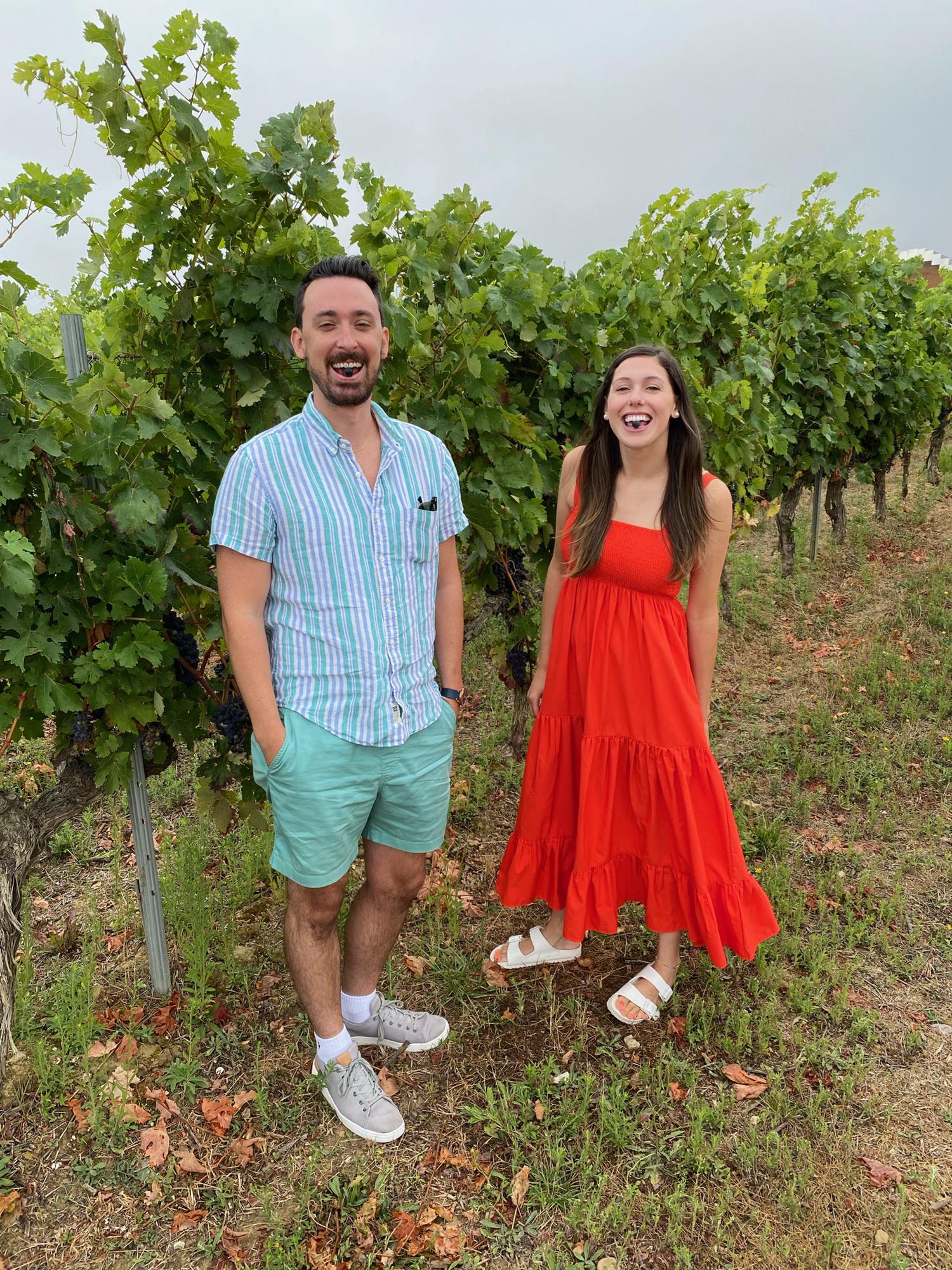 Vineyards in Rioja
