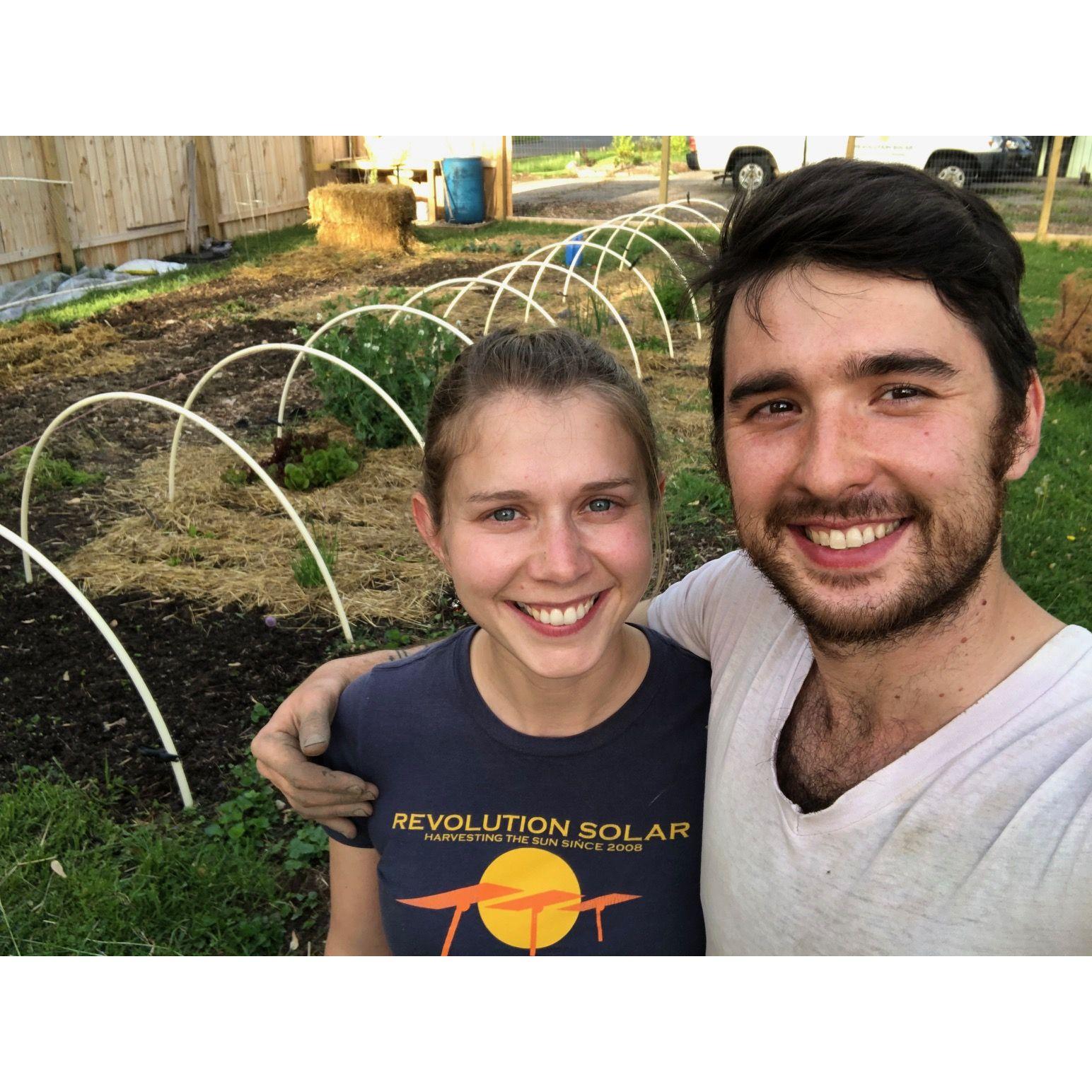 Veg garden preparation, May 2021