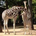 Milwaukee County Zoo