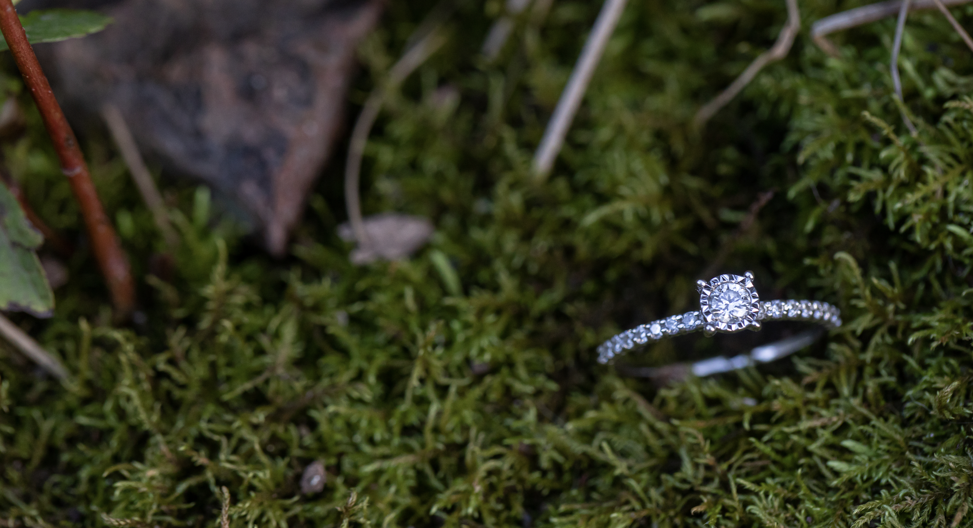 The Wedding Website of Marisa Kittleson and Alexander Nistler