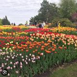 Minnesota Landscape Arboretum