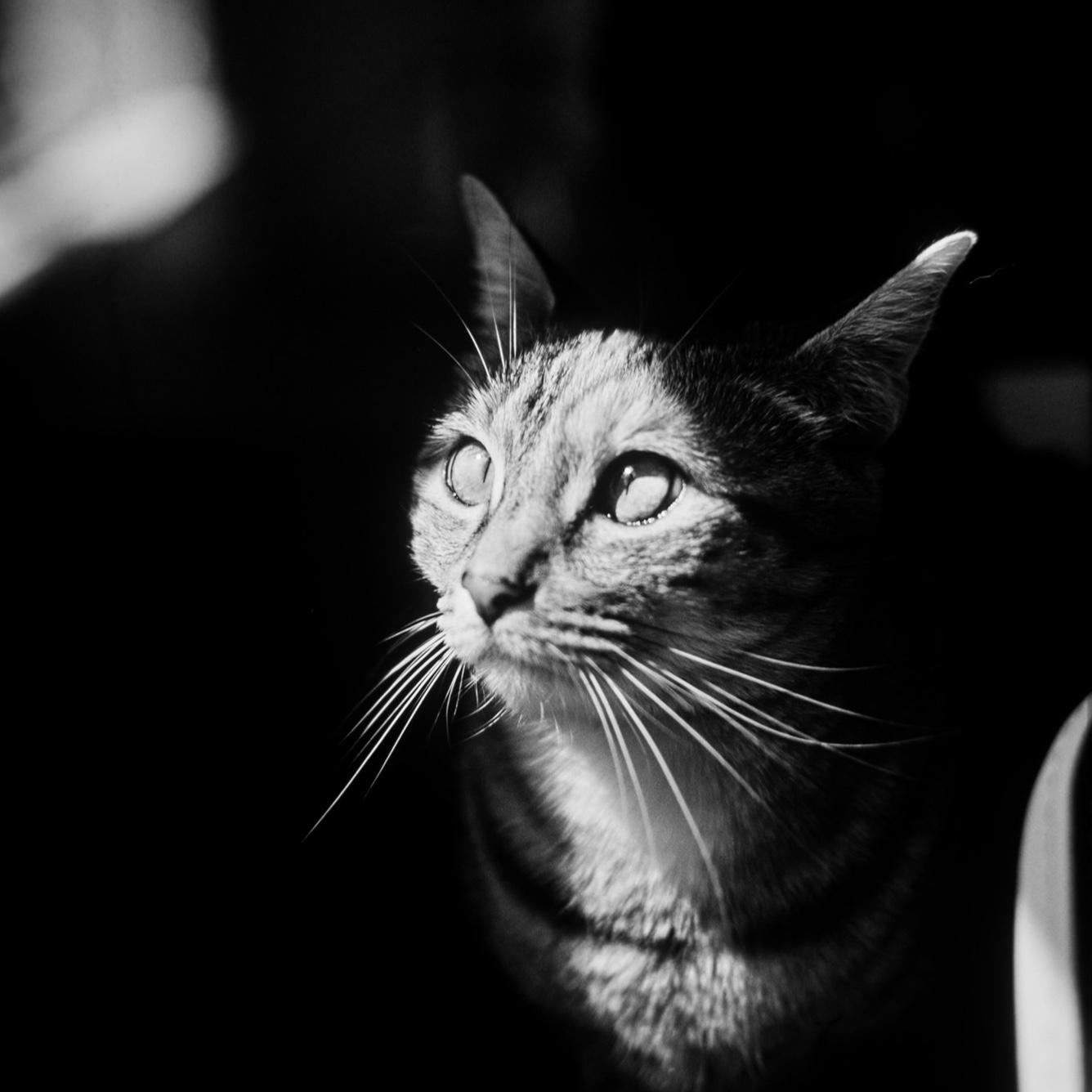 Posie caught on Jeremiah’s film camera
