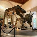 Natural History Museum of Los Angeles County (NHM)