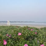 Easton's Beach