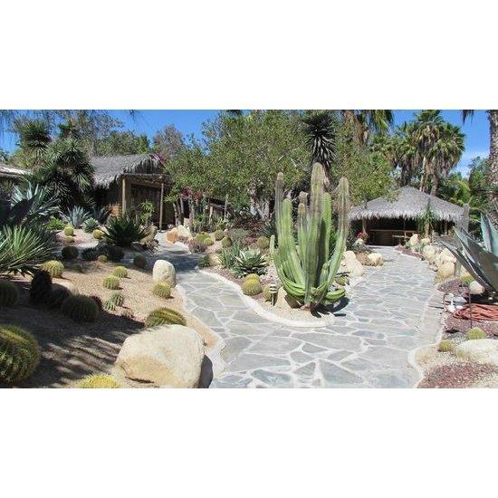 Los Adobes de Todos Santos
Restaurant with cactus garden in Todos Santos