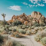 Joshua Tree National Park