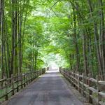 Harlem Valley rail trail
