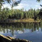 Woods Canyon Lake