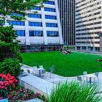 The Elevated Acre