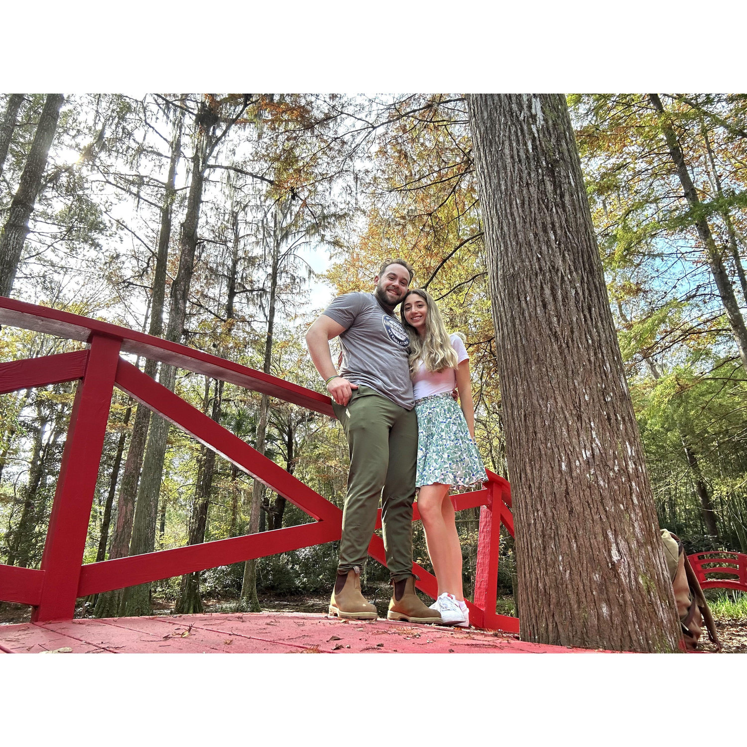 Magnolia Plantation, Charleston, South Carolina- November 2023