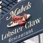 Mabel's Lobster Claw