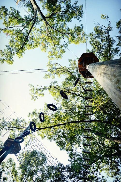 The Wedding Website of Casey Crandall and Brennan Carlson