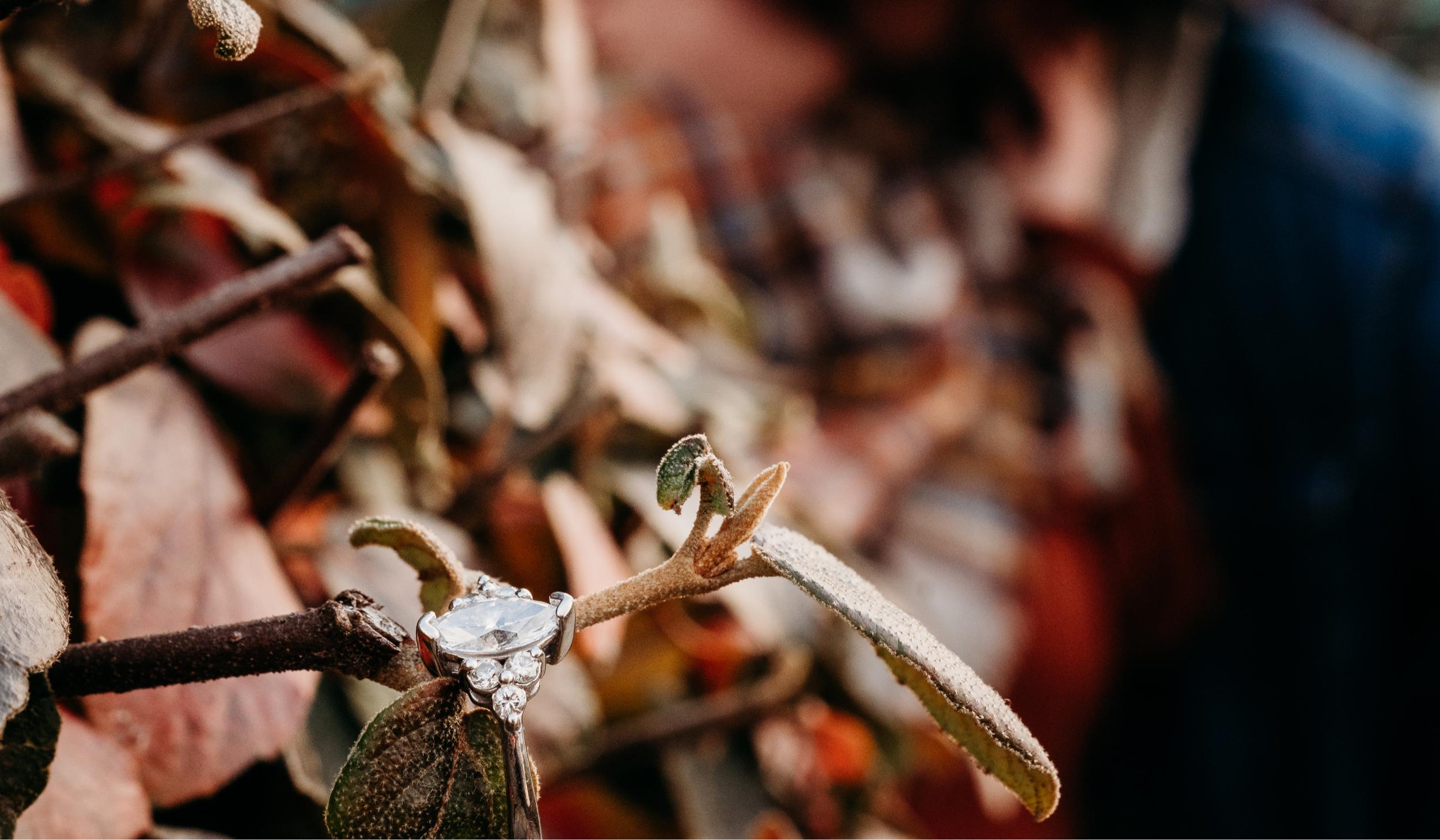 The Wedding Website of Amber Harris and Avery Baewer