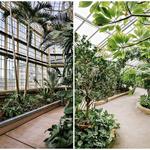 Rawlings Conservatory