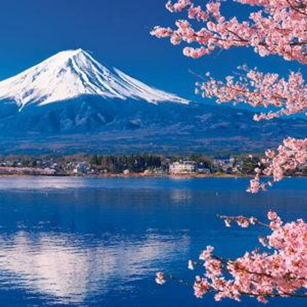 Honeymoon Fund - Japan in Springtime