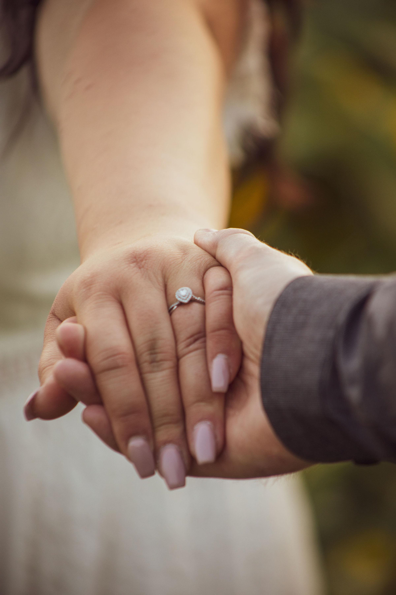 The Wedding Website of Alexandra Kolev and Daniel Sertich