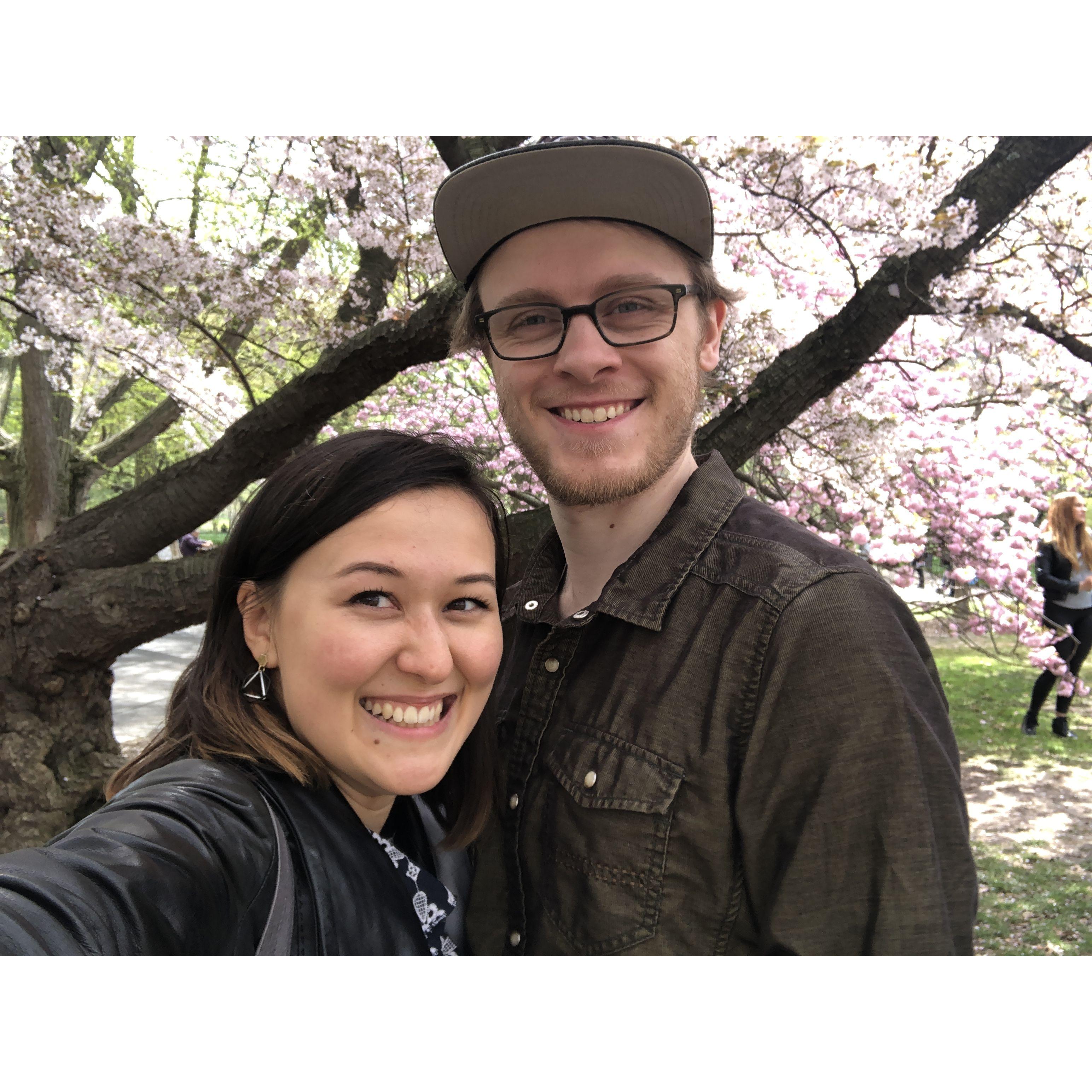 Under the cherry blossoms, Brooklyn Botanic Garden