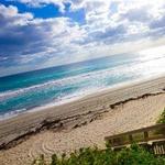 Red Reef Park