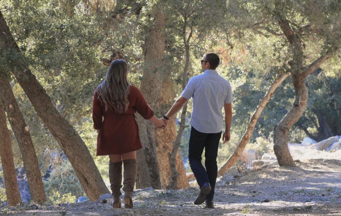 36fd9c3d-a395-4ed4-a98c-94334922009b