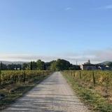 Domaine de la Camarette