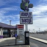Purple Turtle