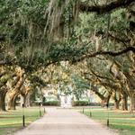 Boone Hall Plantation & Gardens