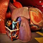 The Franklin Institute