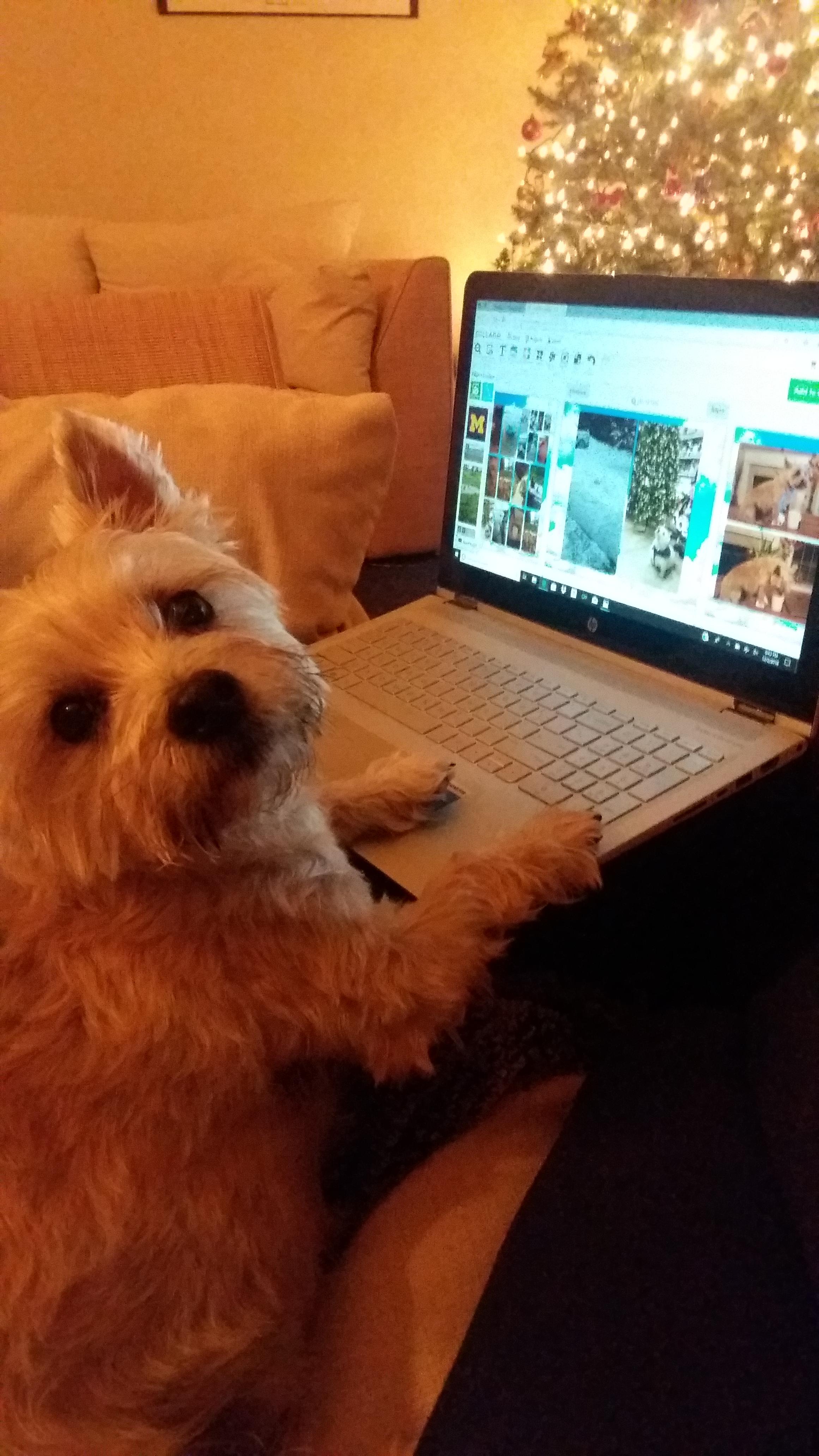 The Wedding Website of cigdem aydin and Scott Chamberlain