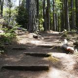 Jug Handle State Natural Reserve