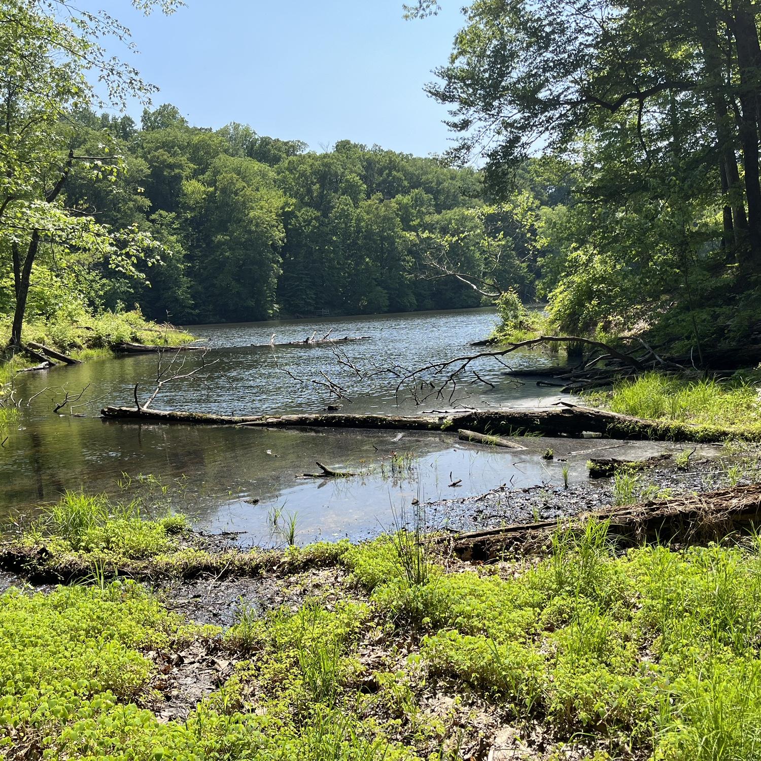 Hiking at Brown County!