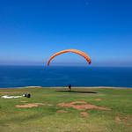 Torrey Pines Gliderport