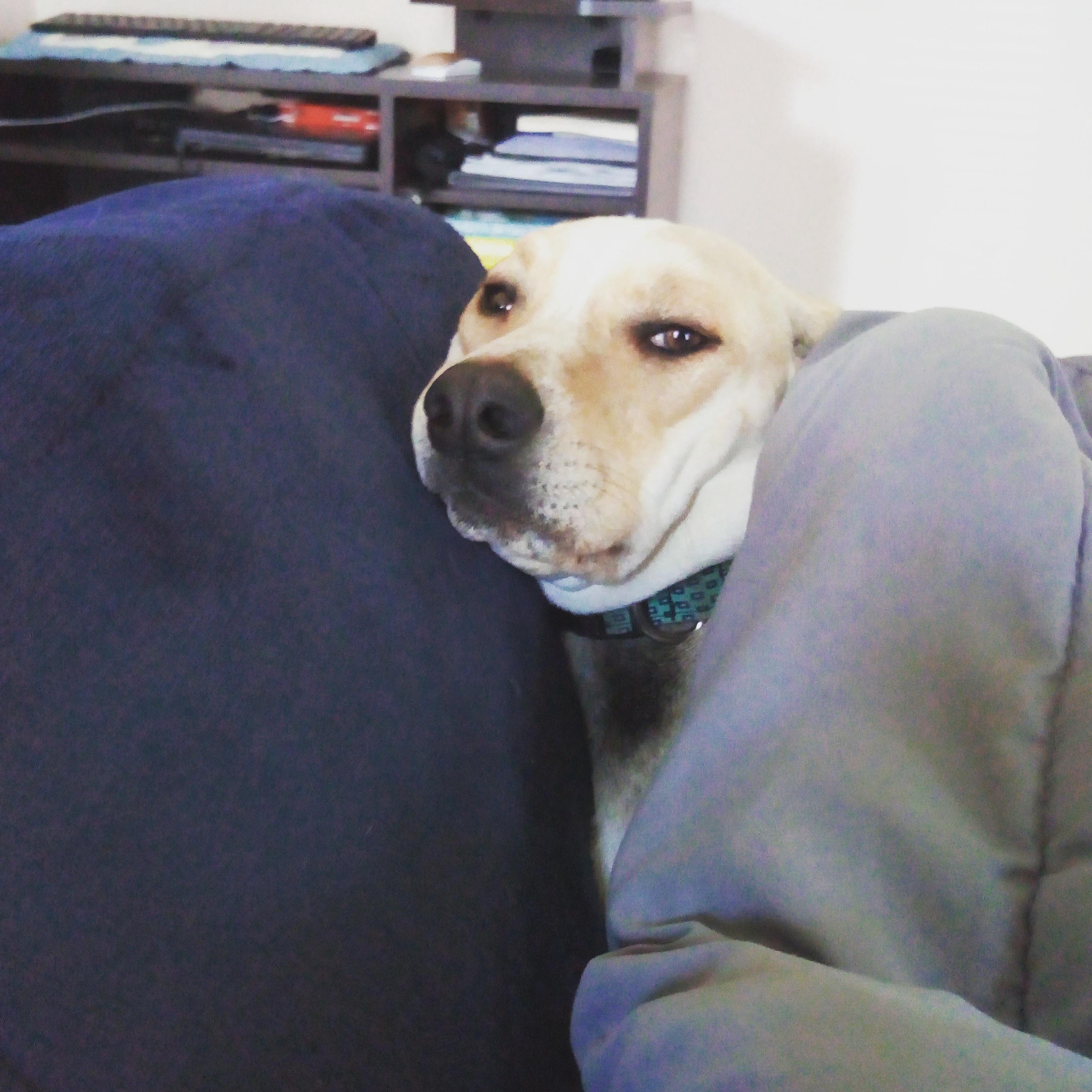 She is having none of it.