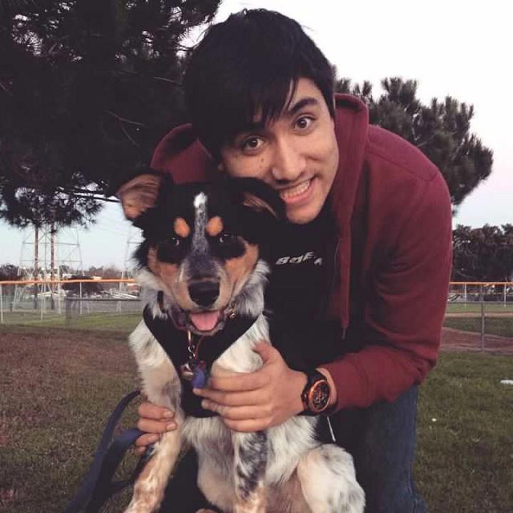 man's best friend (El Segundo, CA)