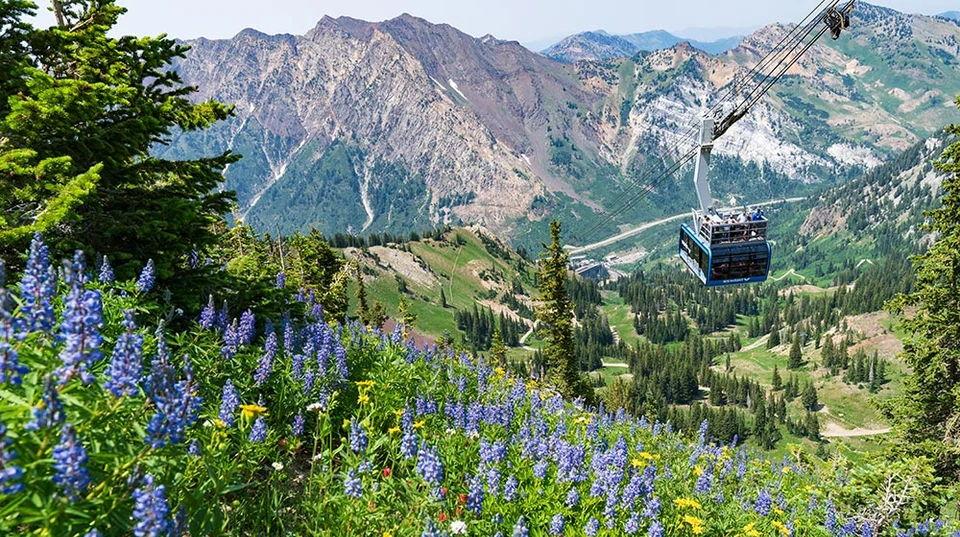 The Wedding Website of Michael Ninivaggi and Hannah Christensen