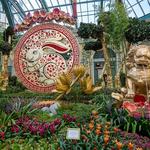 Bellagio Conservatory & Botanical Gardens