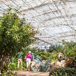 Butterfly Wonderland