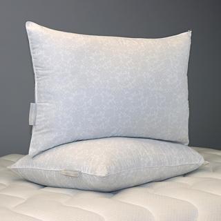 Printed Lace Pillow, Set of 2