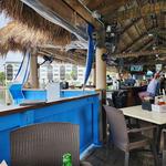 Dolphin Tiki Bar & Grill